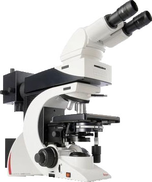 Leica DM2500 biological microscope