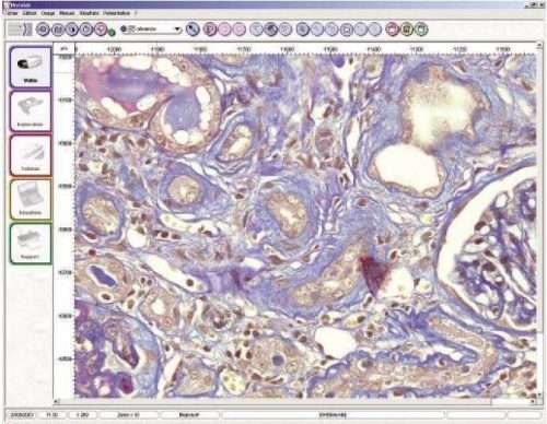 HistoLab Histology image analysis software