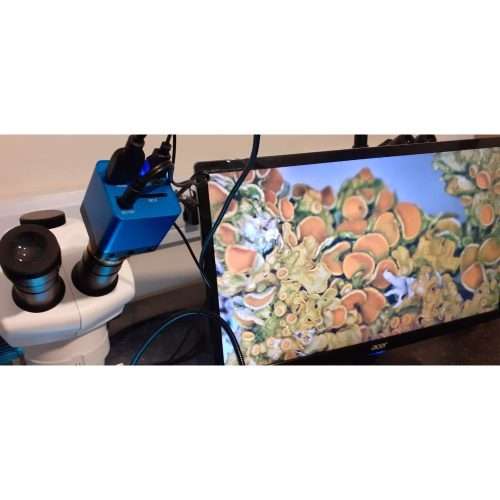 GX Microscopes UltraZOOM-2 stereo microscope with camera