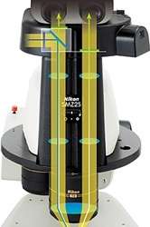 Crystal Clear Images with the Nikon SMZ25 and SMZ 18 stereomicroscopes