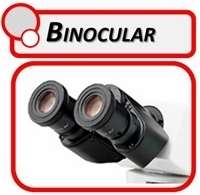 Binocular Microscopes