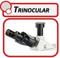 Trinocular Microscopes