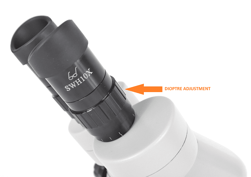 How to Adjust The Eyepiece Dioptre On Your Microscope