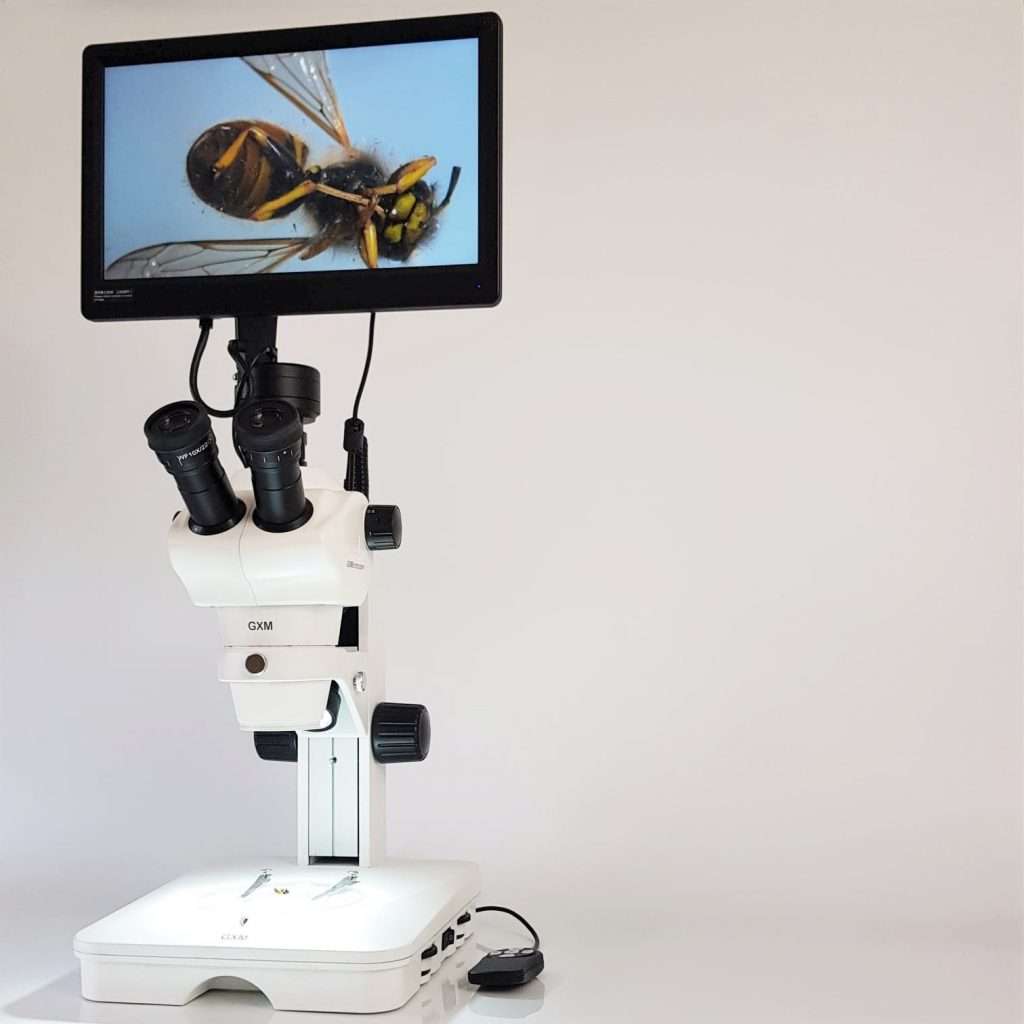 UZ2-DIGI Digital Stereomicroscope