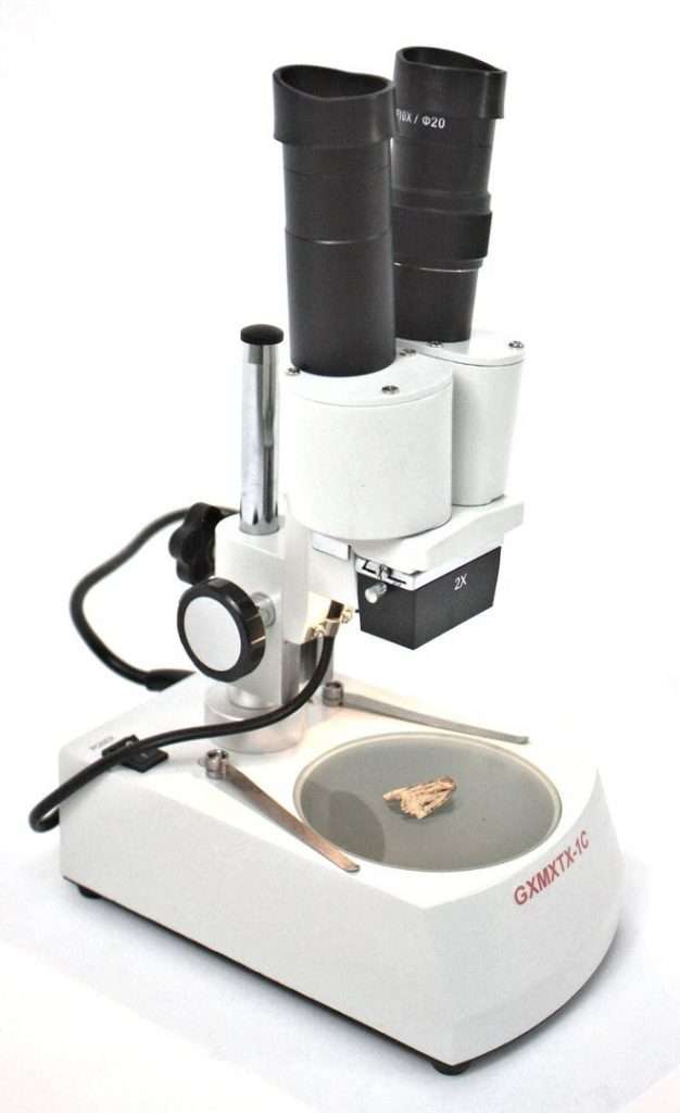 XTX-1C Viewing Bee activities under Microscope
