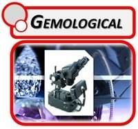 Gemological Microscope