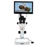 Digital microscopes