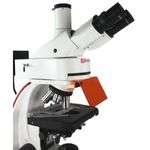 fluorescent microscopes for fluorescence microscopy
