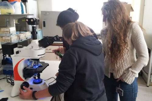 GX Microscopes fluorescence microscope in university teaching laboratory