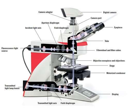Leica DM4B Research and Consultant's Level Biological Microscope