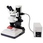 Fluorescence Stereo Microscopes